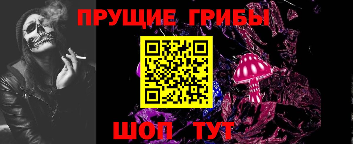 Псилоцибиновые грибы Cubensis  Псилоцибиновые грибы GOLDEN TEACHER  Вход с VPN  Ставрополь 